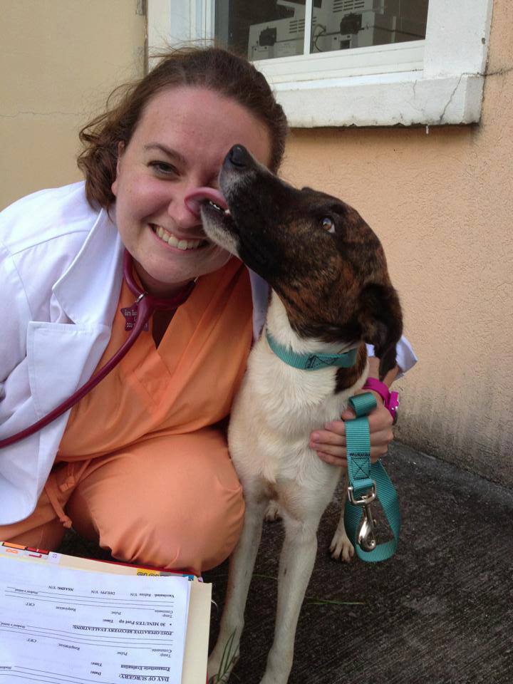 Dr. Sara Ochoa with a dog in the clinic