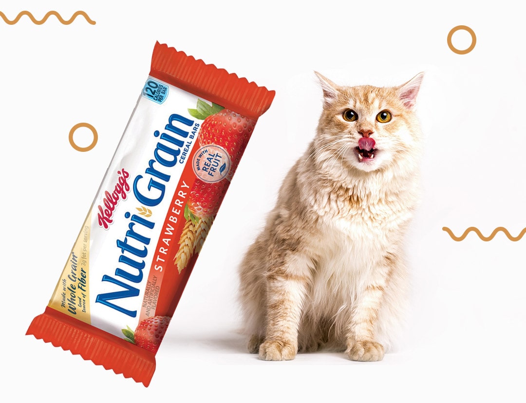 can cats eat nutri grain Can Cats Eat Nutri Grain Bars? [Benefits & Harms]